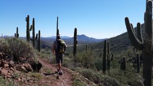 Hiking in Arizona
